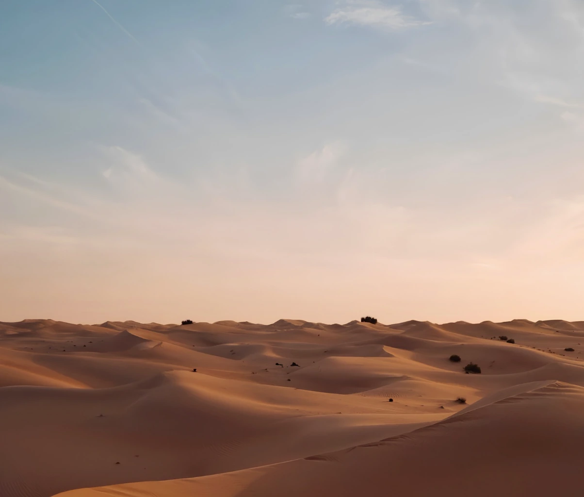 Liwa Desert in Abu Dhabi