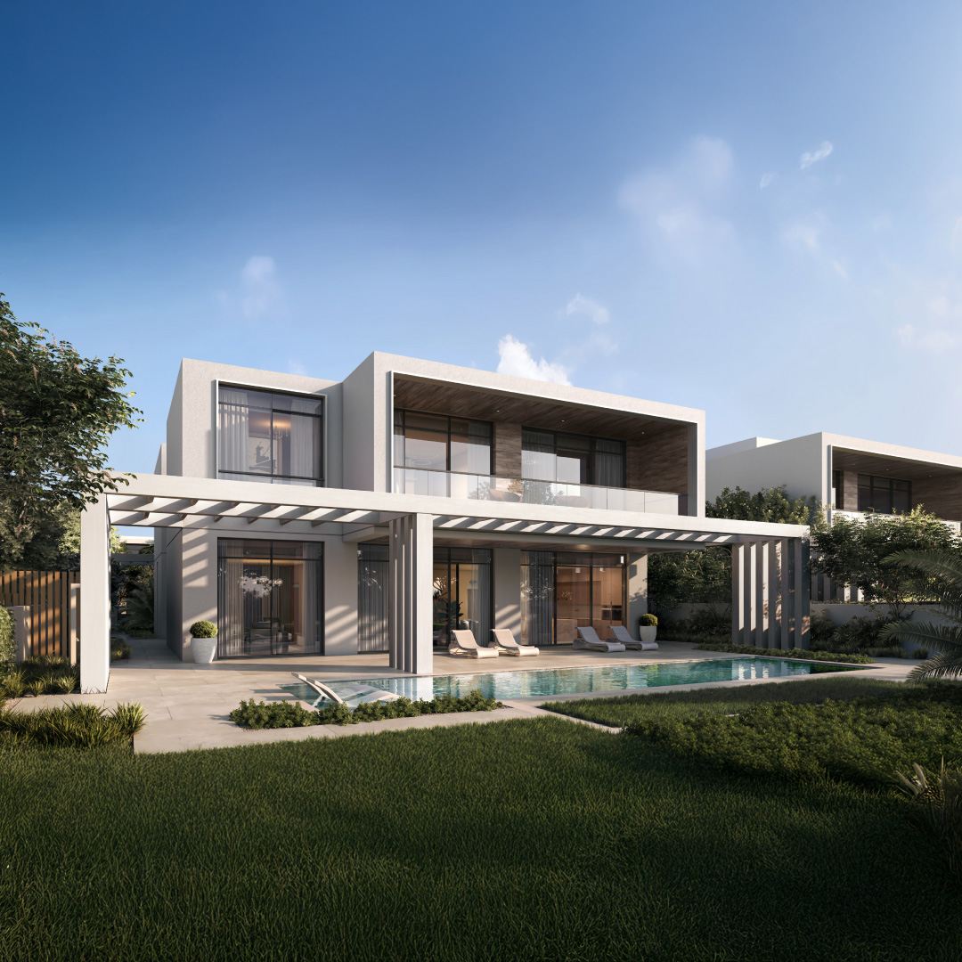 Bashayer project visual