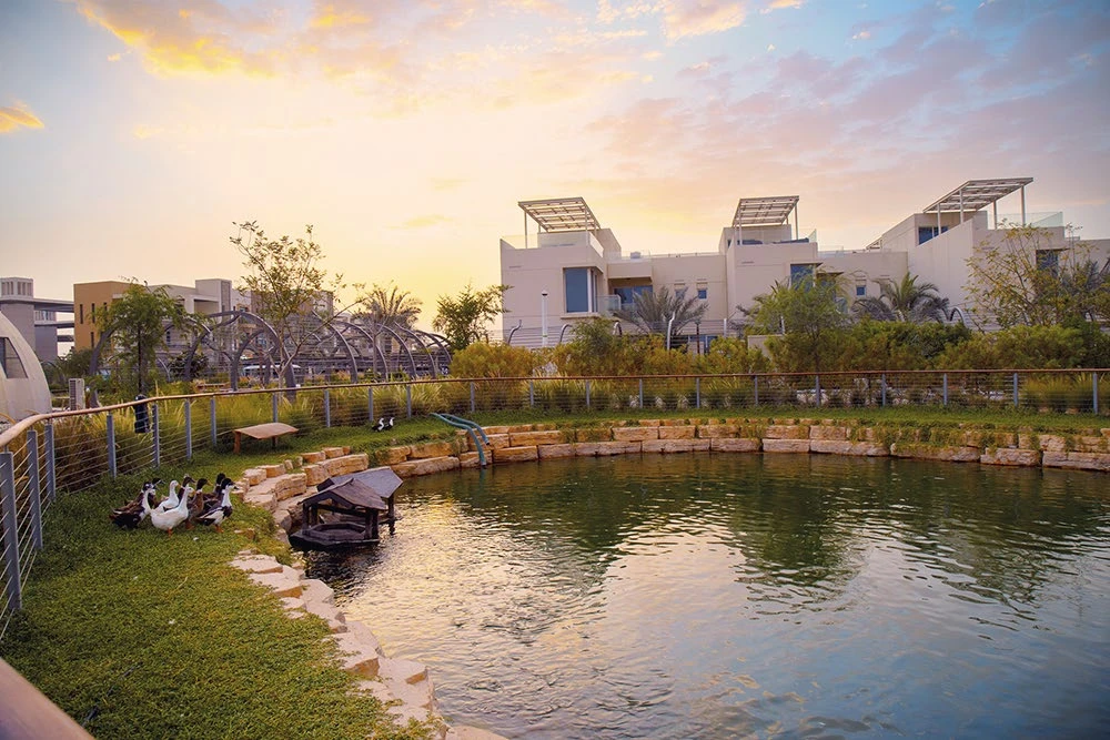 The Sustainable City Yas Island homes and landscaped water feature